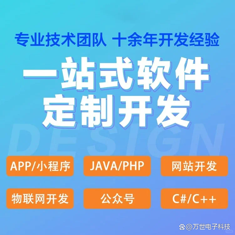 金中软件开发